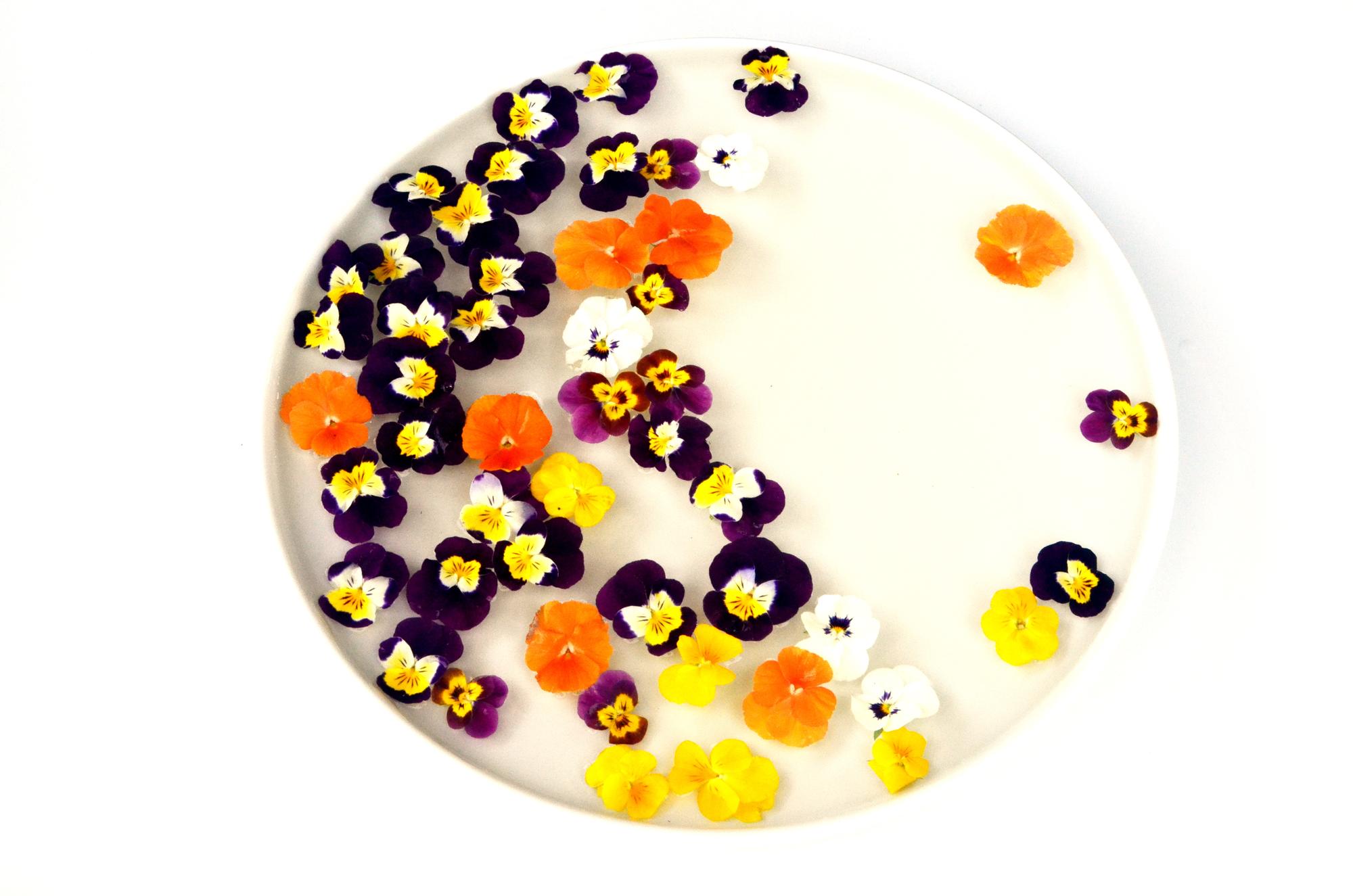 Plated modern dessert with edible flowers